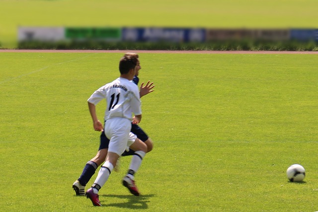 仁的傳統 仁的傳統