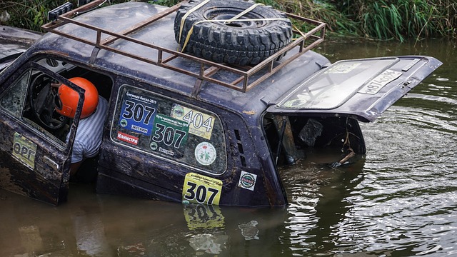 里萨谢的崛起：最佳新秀榜上有名？.