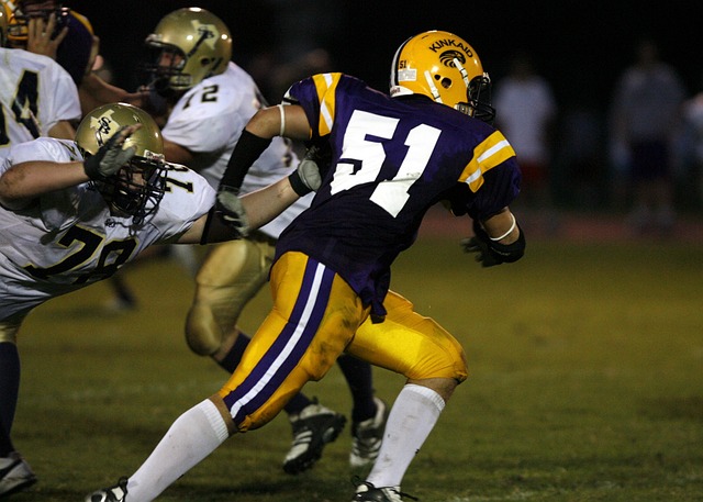 两场比赛马 两场比赛马