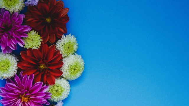 通过将防守 通过将防守