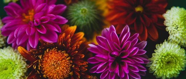 迷口中的经 迷口中的经